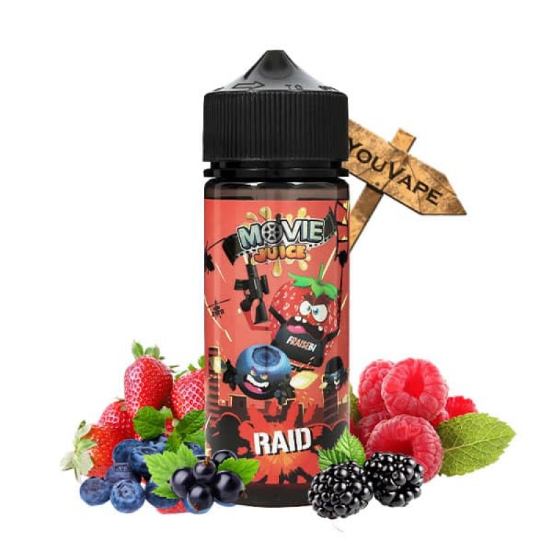 Raid 100ml